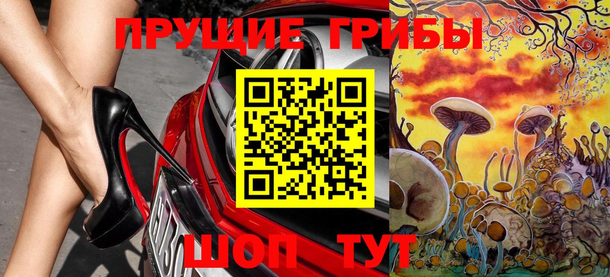 Псилоцибиновые грибы Psilocybe Ливны