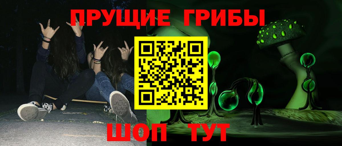 Псилоцибиновые грибы MAGIC MUSHROOMS  цена   Ливны  Вход с VPN 